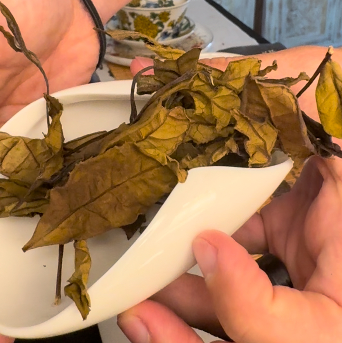 Japanese white tea from 7Tea+